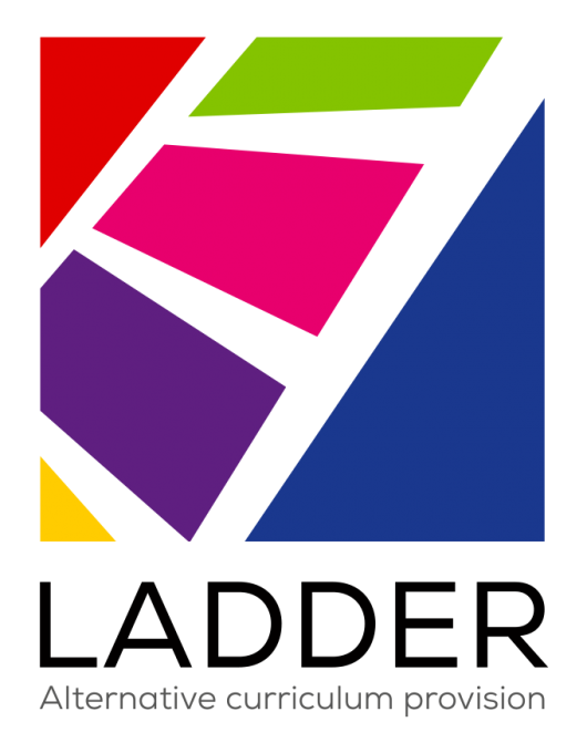 LADDER logo - colour square