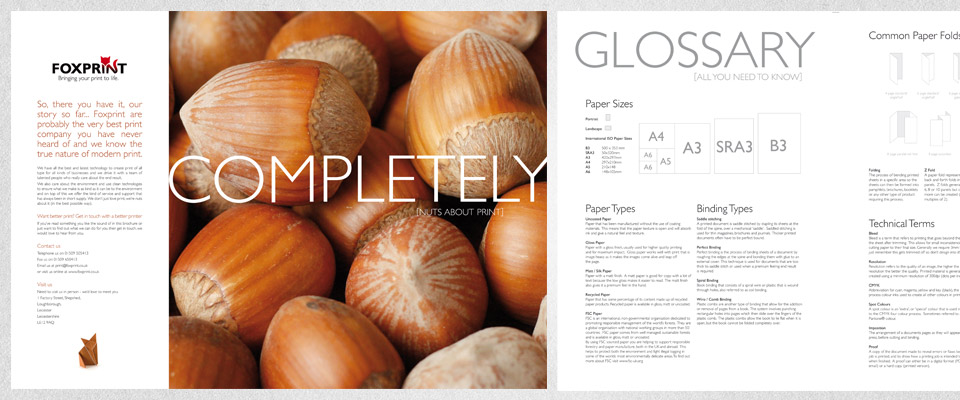 foxprint_branding_4
